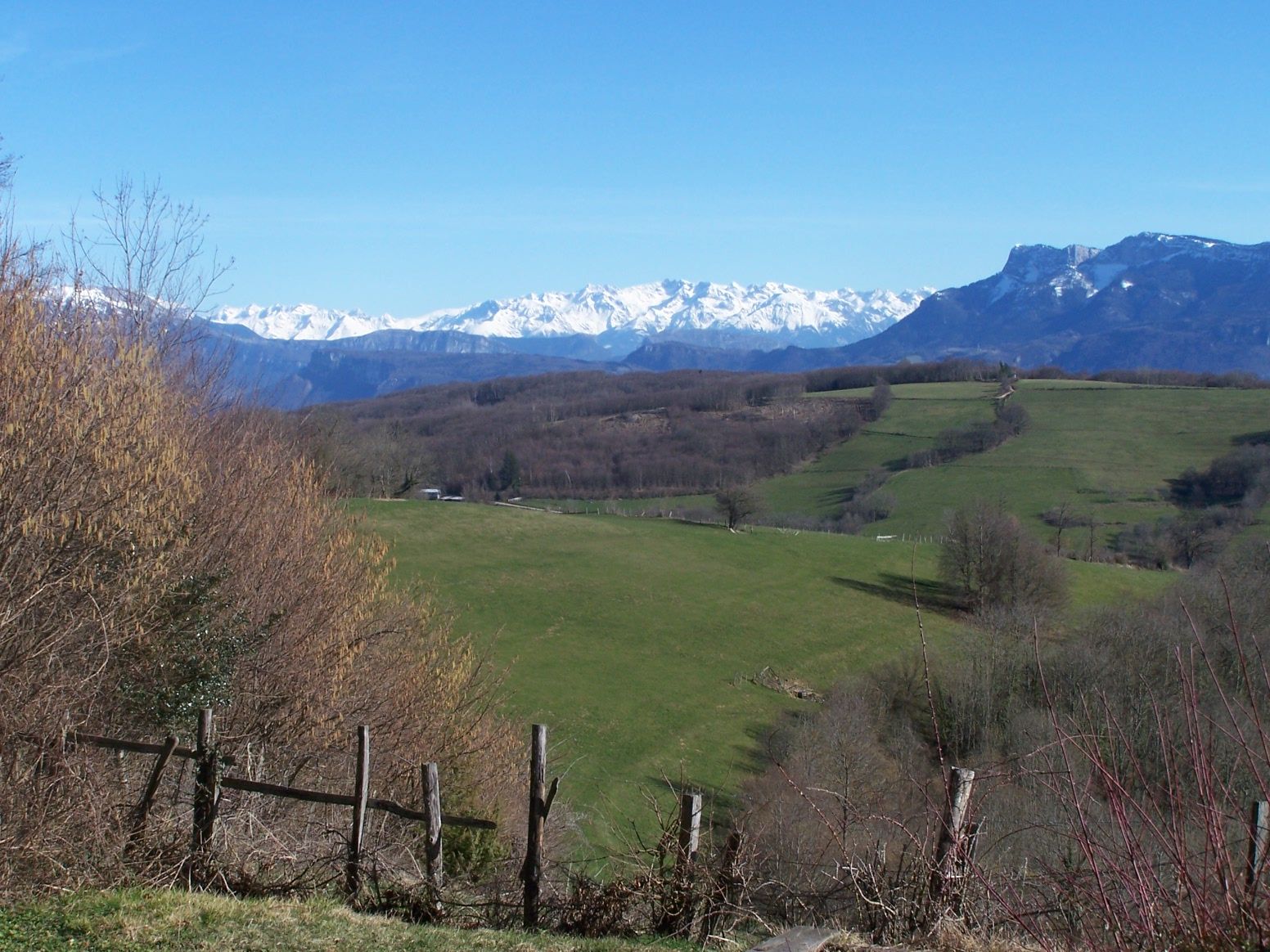 Les sommets enneigés des Alpes vus depuis les prairies de Plan