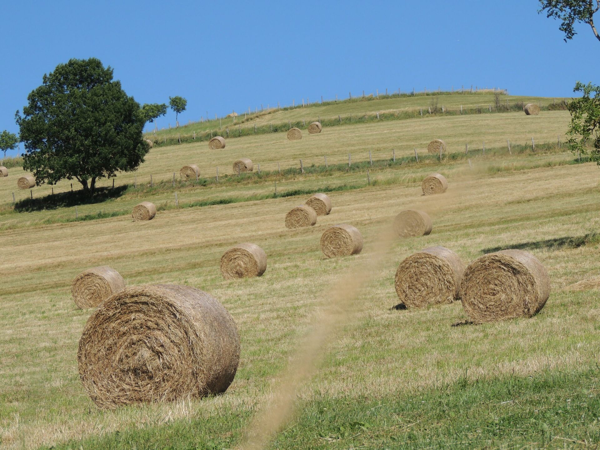 Bottes de foin dans les champs à la fin de l'été