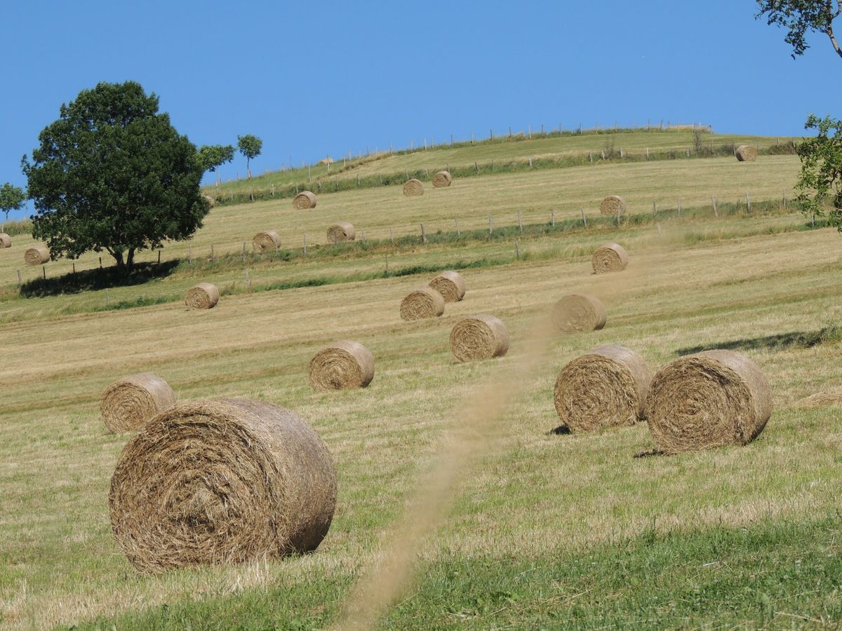 Champs et bottes de foin aux alentours de Plan, illustrant l'attachement du village à son environnement