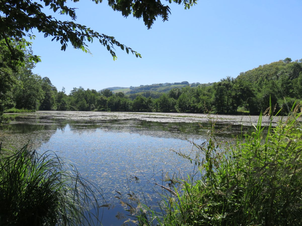 Plan d'eau paisible aux environs du village