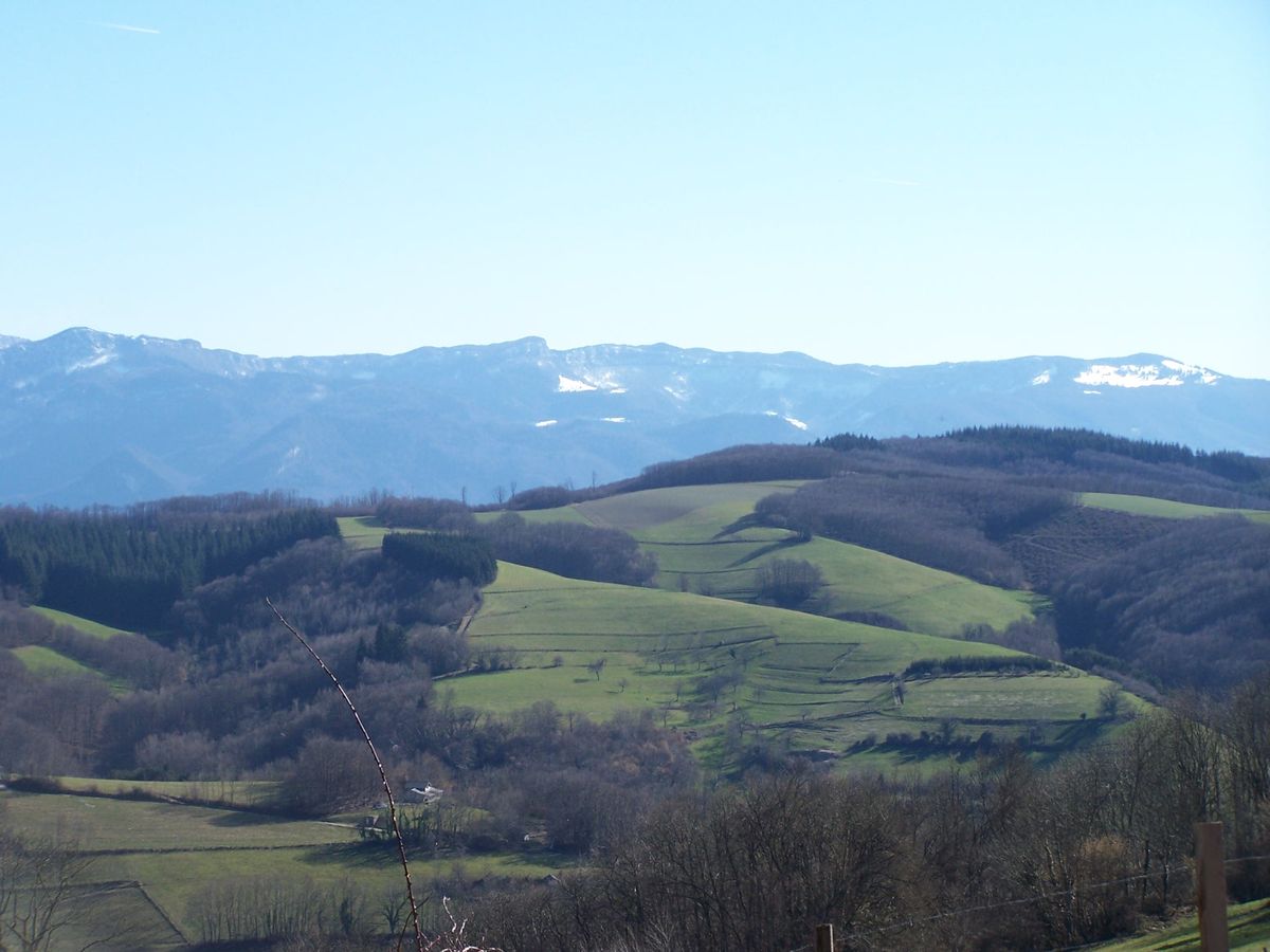 Grand panorama sur les collines boisées autour de Plan